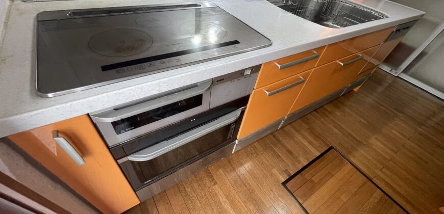 羽生市南中古一戸建て